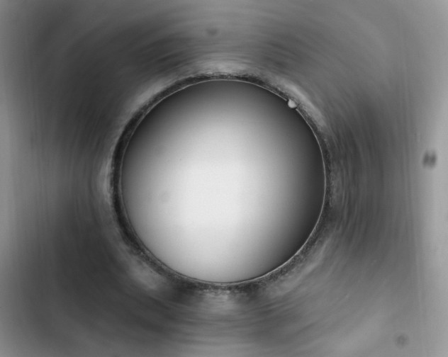 X0000103230439200808281434