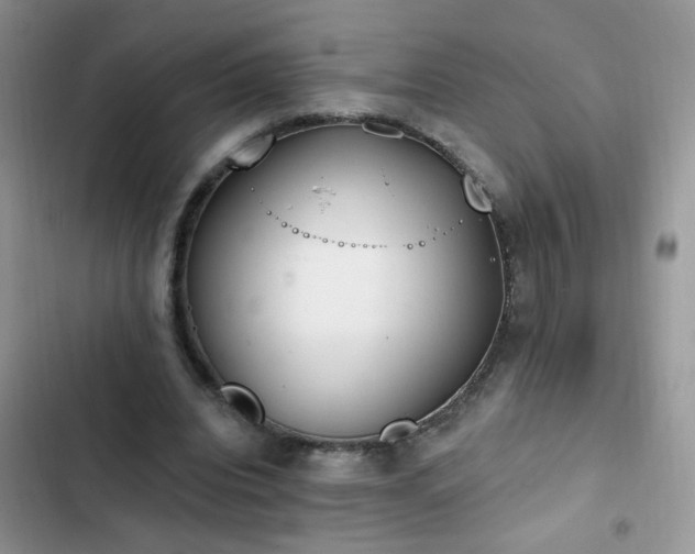 X0000103230440200808281434