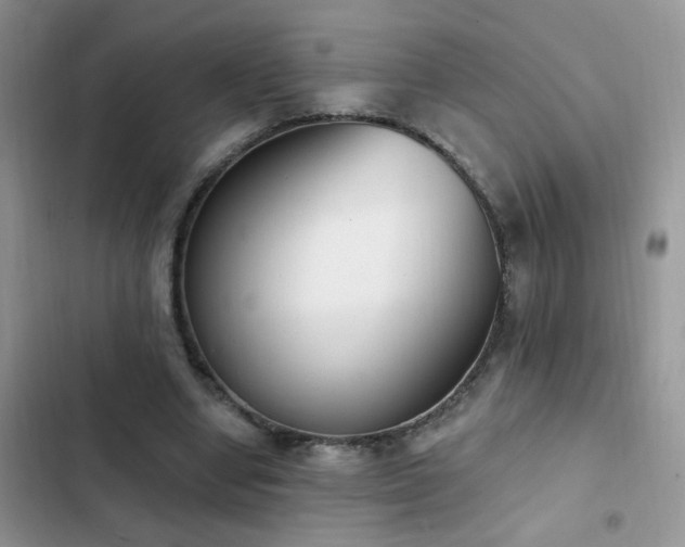 X0000103230442200808281434