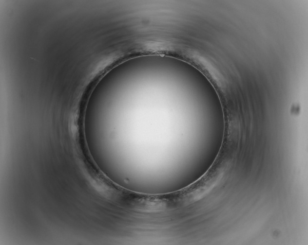 X0000103230443200808281434