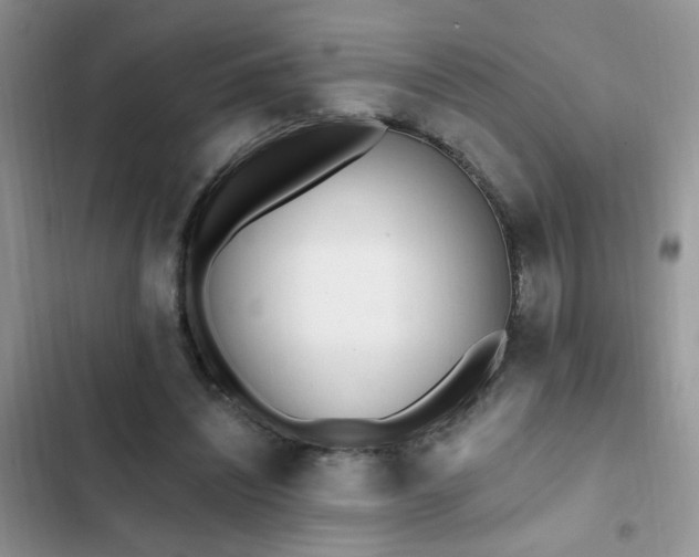 X0000103230444200808281434