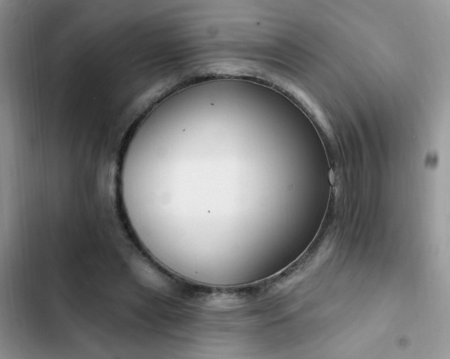 X0000103230445200808281434