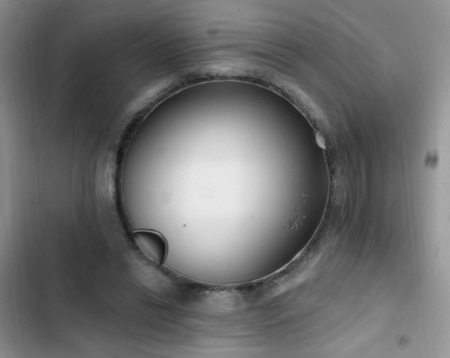 X0000103230446200808281434