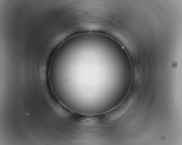 X0000103230447200808281434