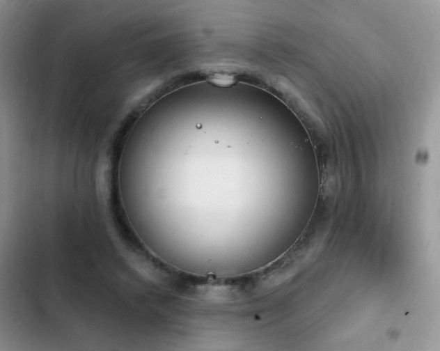X0000103230448200808281434