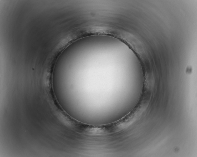X0000103230449200808281434