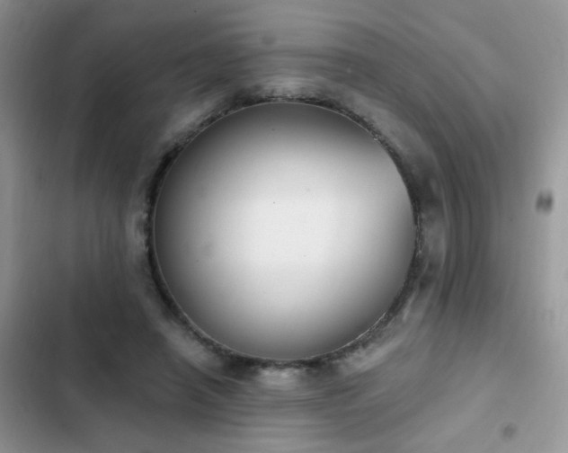 X0000103230450200808281434