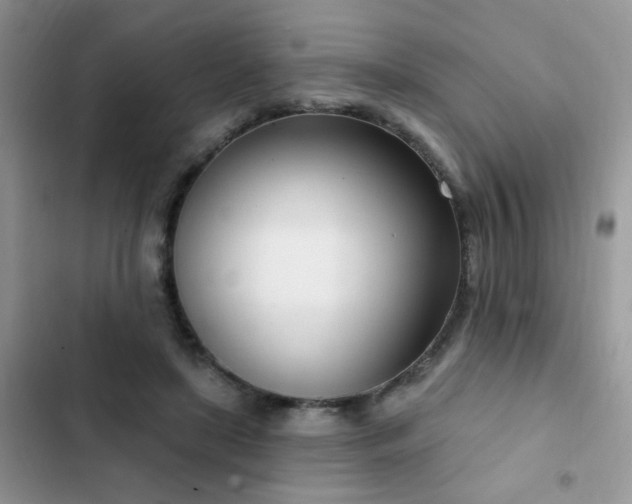 X0000103230451200808281434