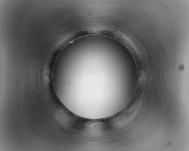 X0000103230452200808281434