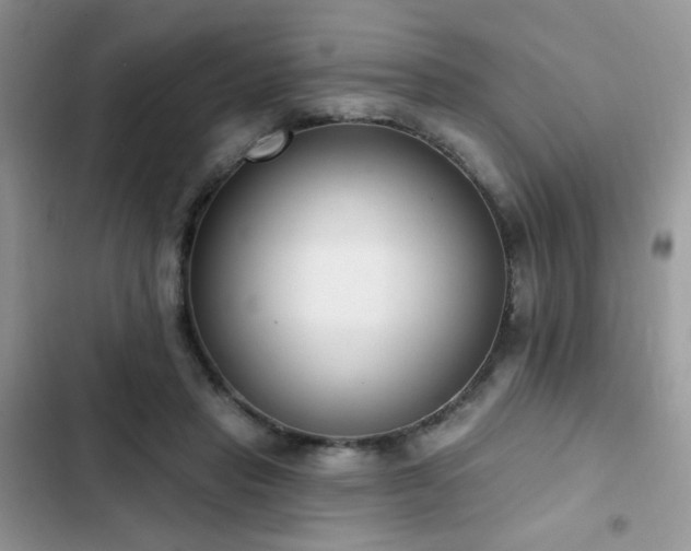 X0000103230453200808281434