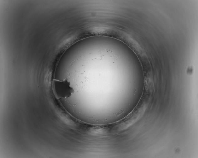 X0000103230454200808281434