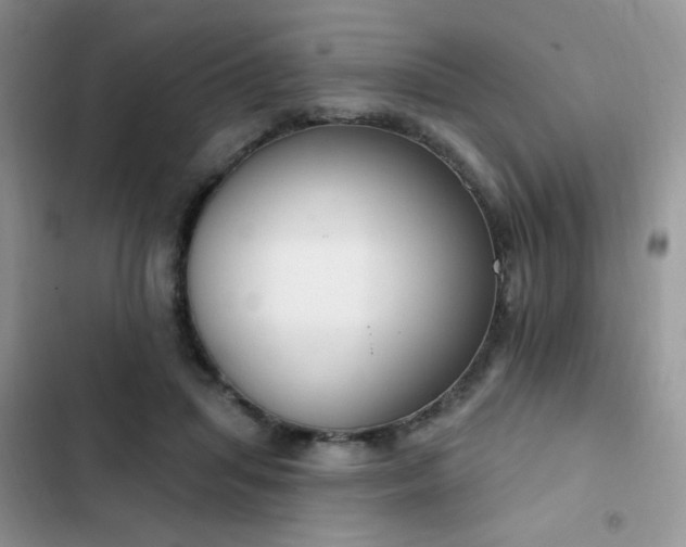 X0000103230455200808281434