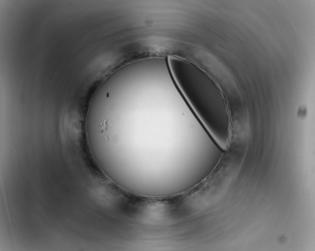 X0000103230456200808281434