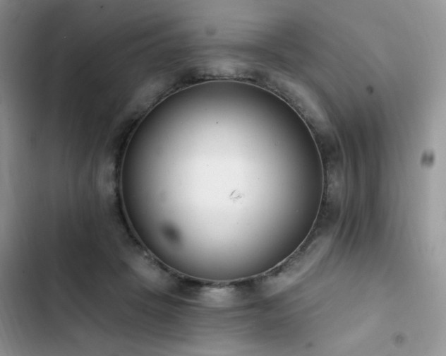 X0000103230457200808281434