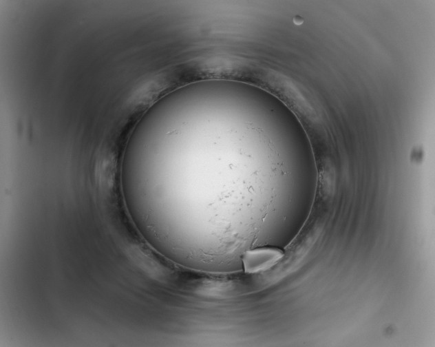 X0000103230458200808281434