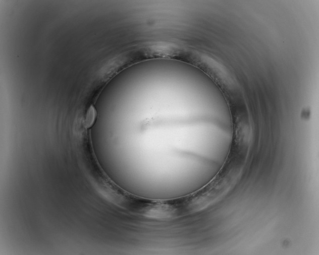 X0000103230459200808281434