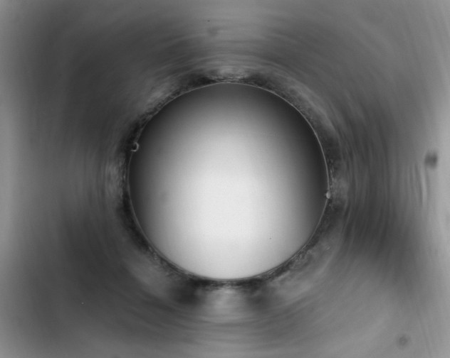 X0000103230460200808281434