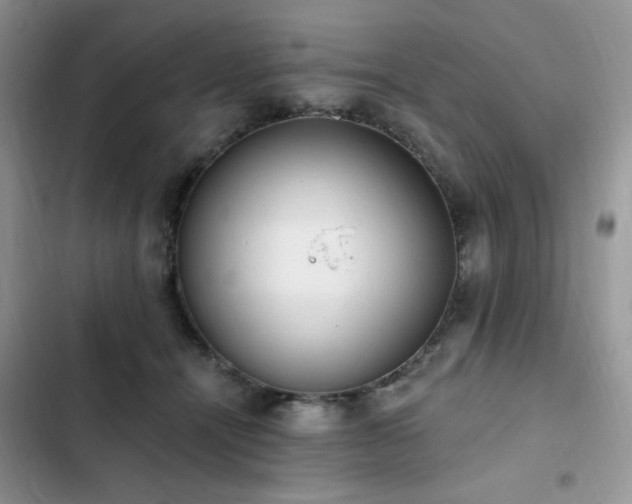 X0000103230464200808281434