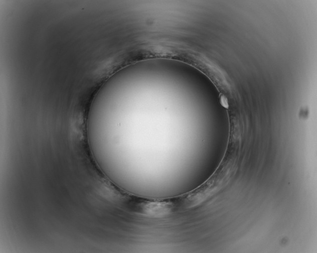 X0000103230465200808281434
