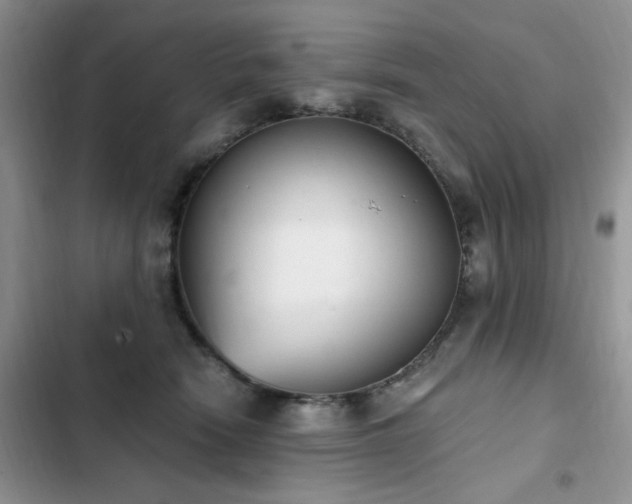 X0000103230466200808281434