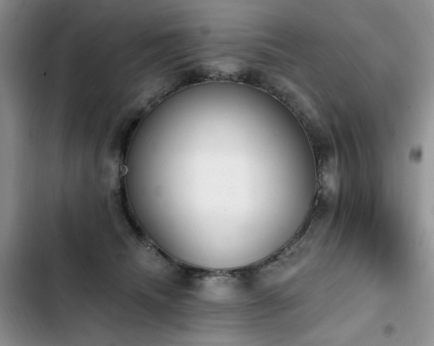 X0000103230468200808281434