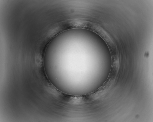 X0000103230469200808281435