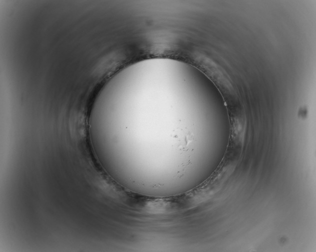 X0000103230470200808281435