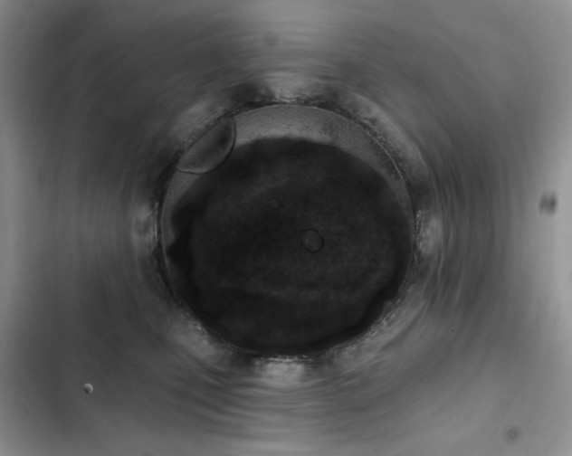 X0000103230471200808281435
