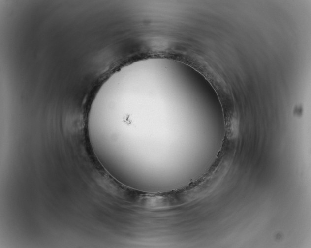 X0000103230472200808281435