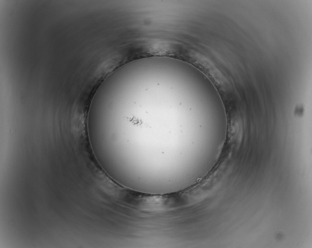 X0000103230473200808281435