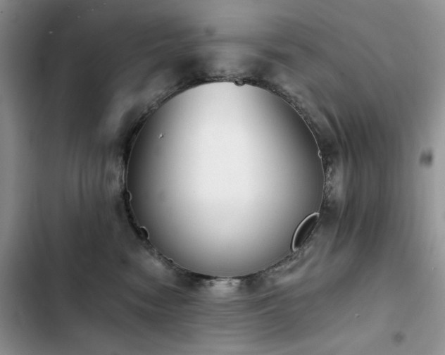X0000103230474200808281435