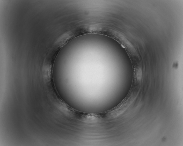 X0000103230475200808281435