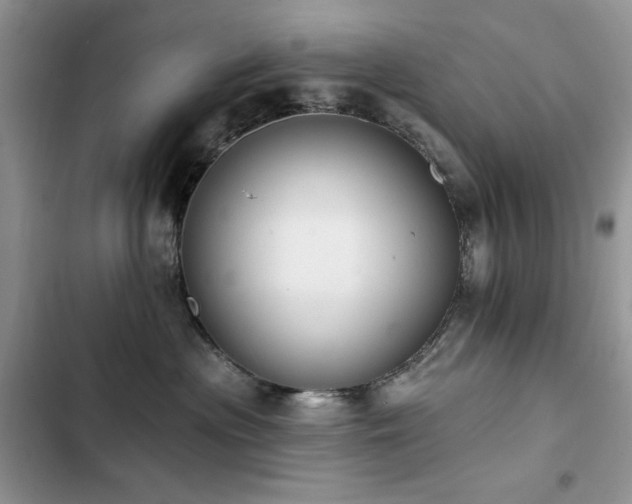 X0000103230477200808281435