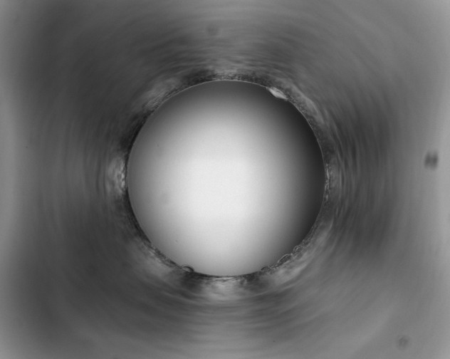 X0000103230479200808281435