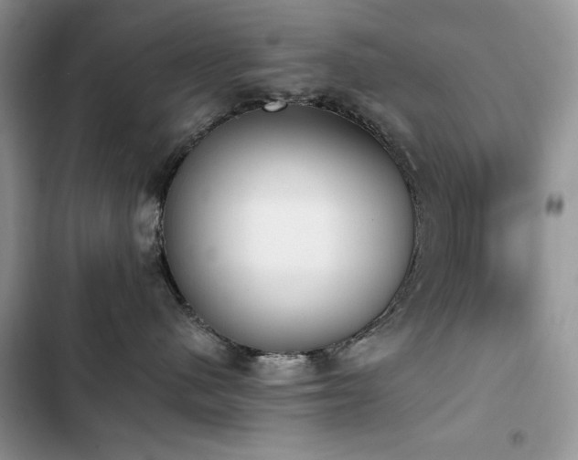 X0000103230480200808281435