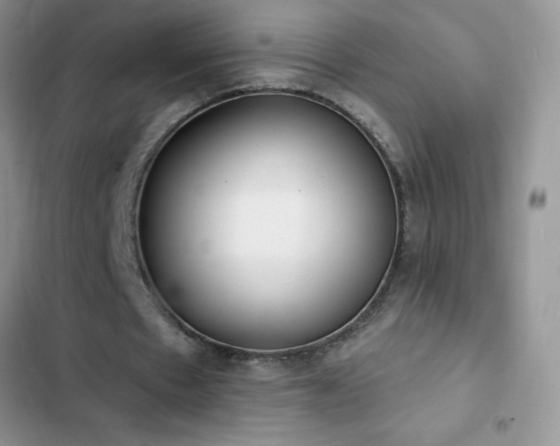 X0000103230481200808281434