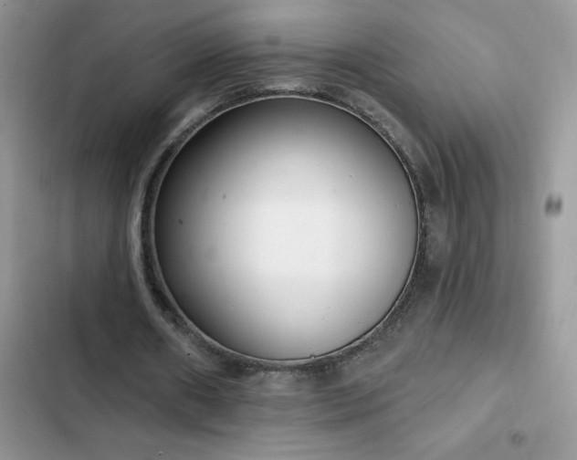X0000103230482200808281434