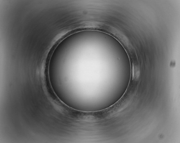 X0000103230483200808281434