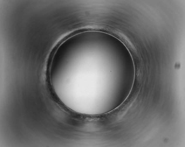 X0000103230484200808281434
