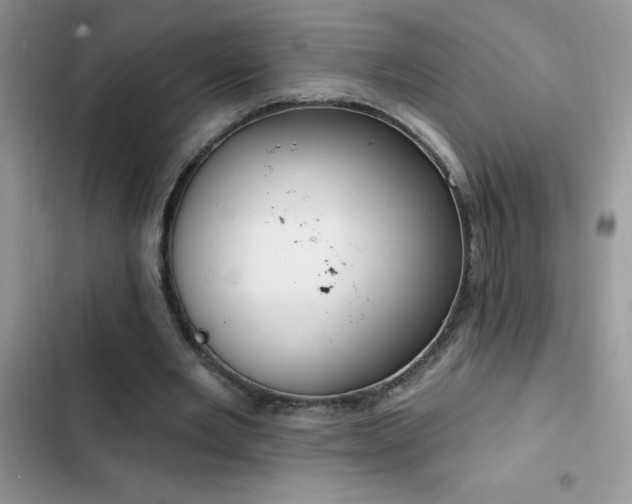 X0000103230485200808281434
