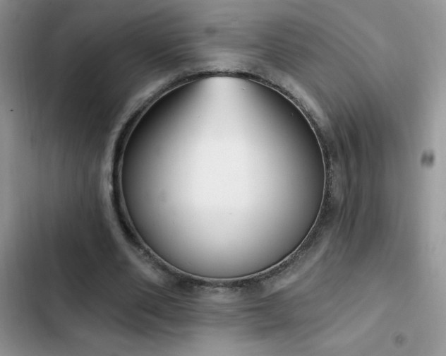 X0000103230486200808281434