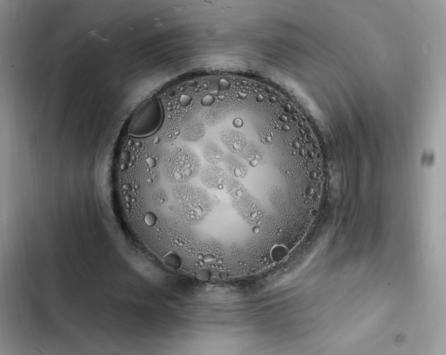 X0000103230487200808281434