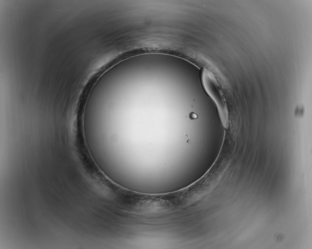 X0000103230488200808281434