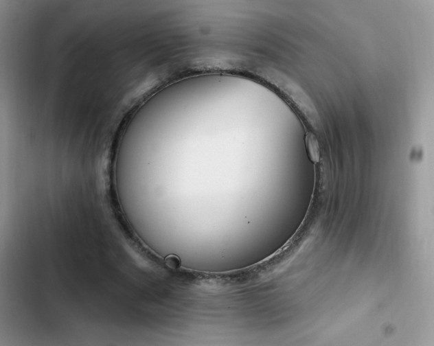 X0000103230489200808281434