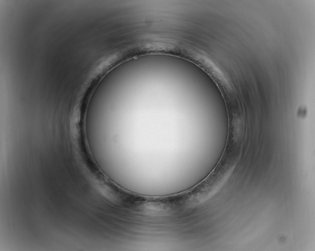 X0000103230490200808281434