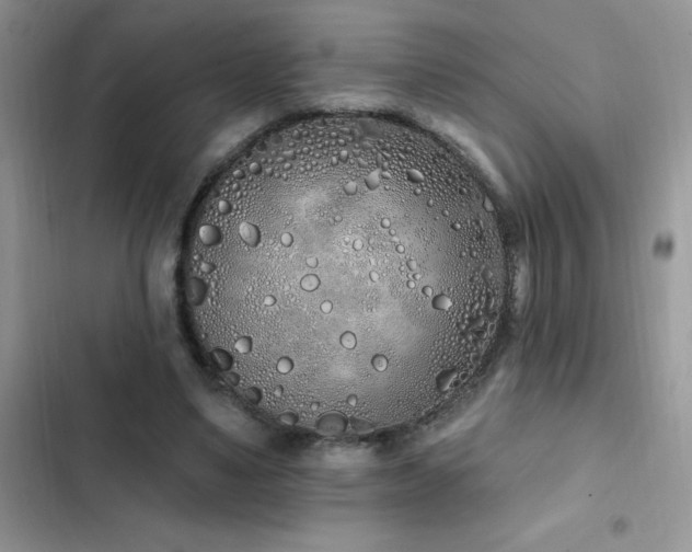 X0000103230491200808281434