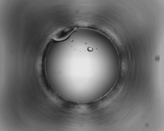 X0000103230492200808281434