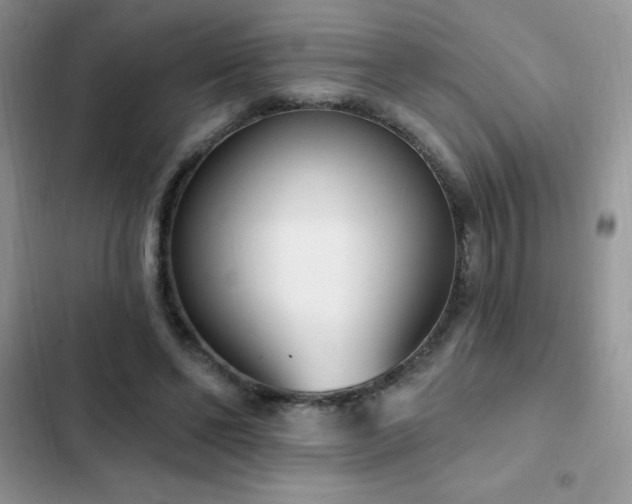 X0000103230494200808281434