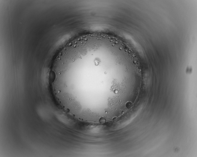 X0000103230495200808281434
