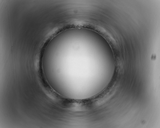 X0000103230496200808281434